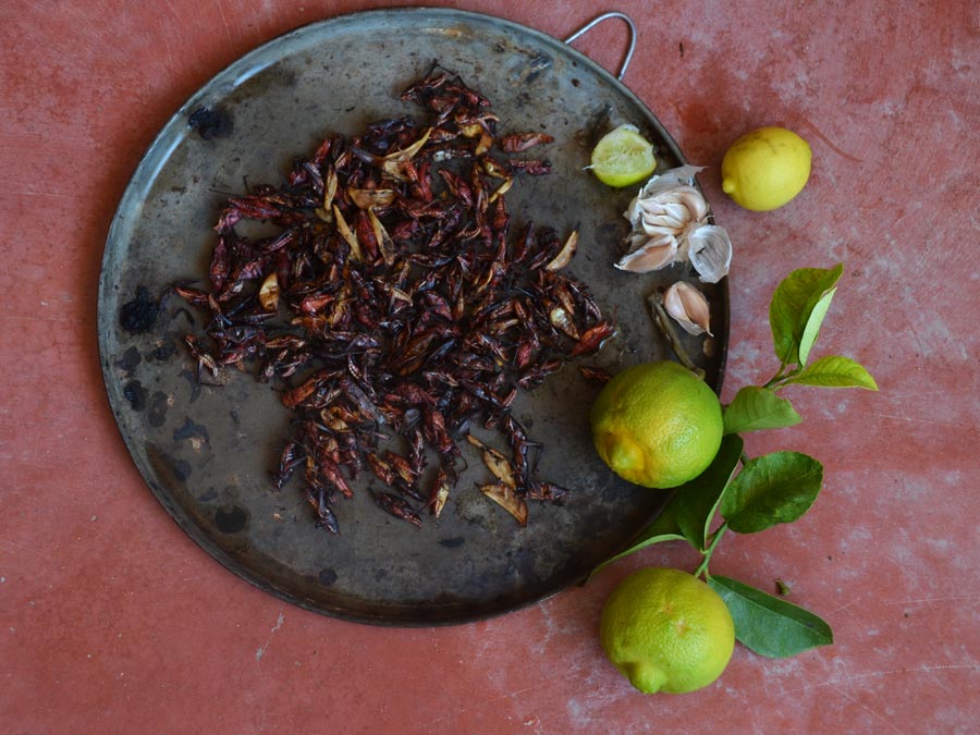 Chapulines . . . . . . . . . . . $ 150