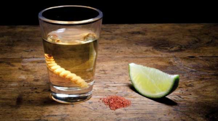 Mezcal de la casa. . . . . . . . . . . . $ 100